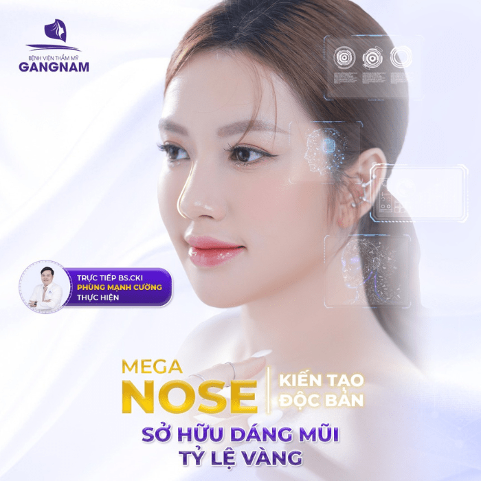 Nâng mũi đẹp tự nhiên Mega Nose