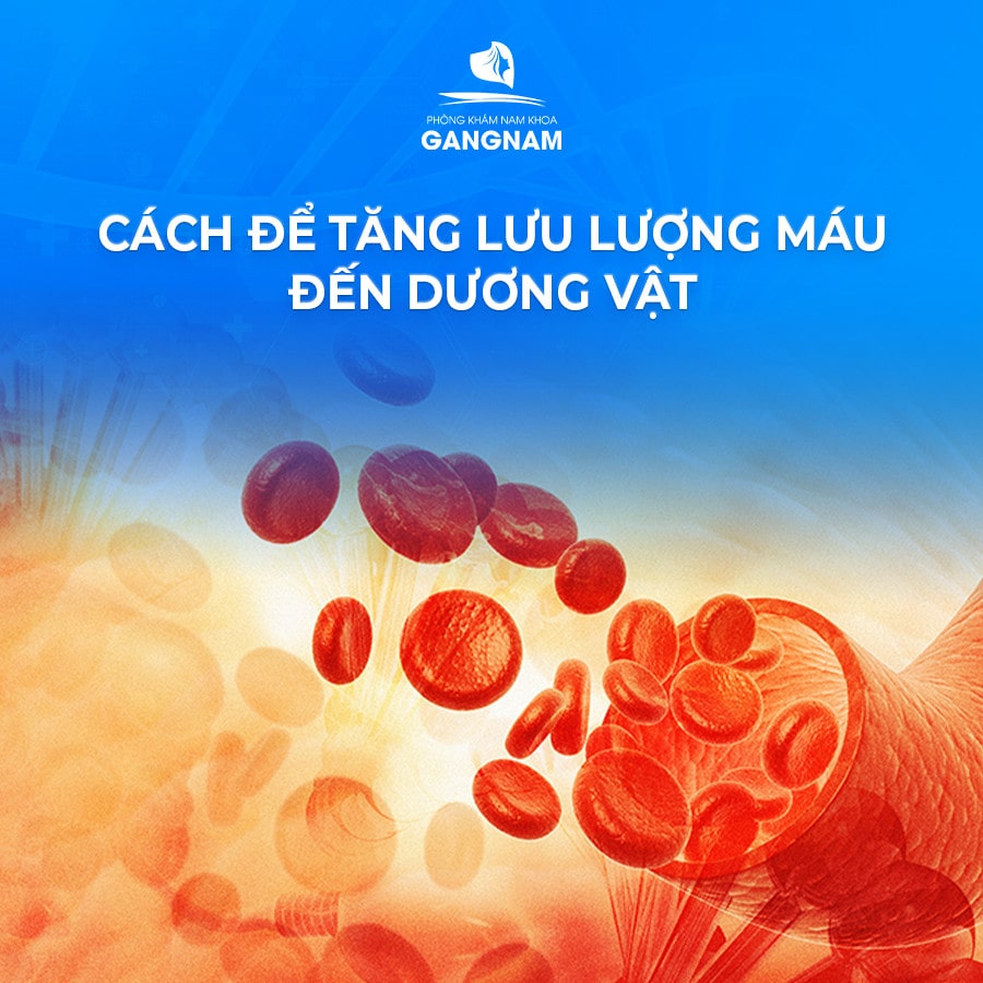 CÁCH ĐỂ TĂNG LƯU LƯỢNG MÁU ĐẾN DƯƠNG VẬT